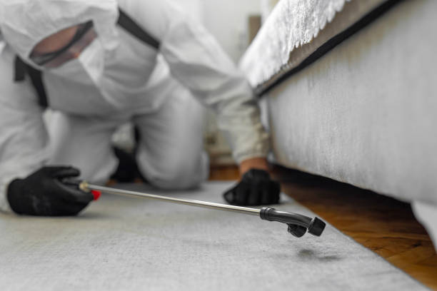 Professional Ant Control technician working in Lake Belvedere Estates, FL